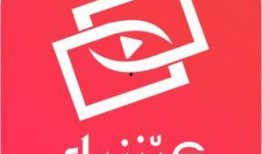 新疆爆料视频最新消息,揭秘神秘事件背后的真相