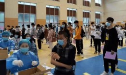 陆河娱乐爆料最新消息今天,今日热点事件深度解析