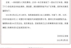 日沙河最新爆料,最新爆料背后的惊人真相