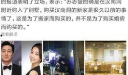 阿爸大韩最新爆料,揭秘娱乐圈不为人知的幕后真相