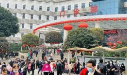 重庆爆料大足事件最新情况,真相逐步浮出水面