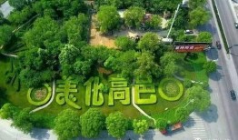 石家庄高邑最新爆料事件,揭秘石家庄神秘事件真相