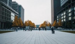 临海游客爆料网最新消息,最新旅游动态揭秘！