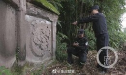 重庆爆料大足事件最新情况,真相逐步浮出水面