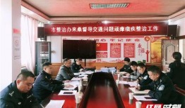 桑植新闻爆料视频最新版,揭秘事件真相，追踪进展动态