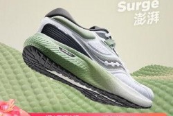 最新跑鞋爆料网站有哪些,盘点各大品牌最新款跑鞋盘点