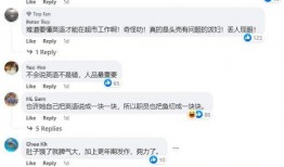 新嘉坡最新爆料视频大全,揭秘城市生活百态