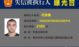 最新巡查员爆料视频大全,揭秘现场实况，一探究竟