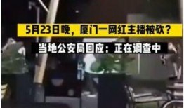 网红爆料最新新闻事件视频,揭秘幕后真相