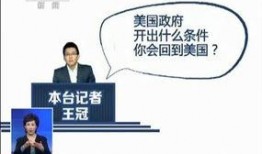 杨展最新爆料,揭秘娱乐圈惊人内幕