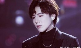 最新爆料刘宇宁是谁,揭秘娱乐圈新晋实力派歌手的崛起之路