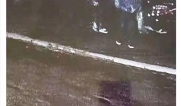 老街诈骗爆料视频最新,最新爆料视频曝光惊人内幕