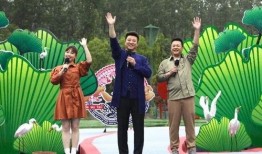 大佛最新爆料新闻事件视频,揭秘事件背后惊人真相